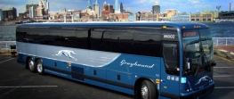 greyhound-bus.jpg